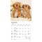 Plato; Chiots | 2027 7 x 14 Inch (Hanging) Monthly Mini Wall Calendar | French Language; Category:Wall Calendars; Image:4